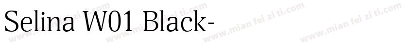 Selina W01 Black字体转换